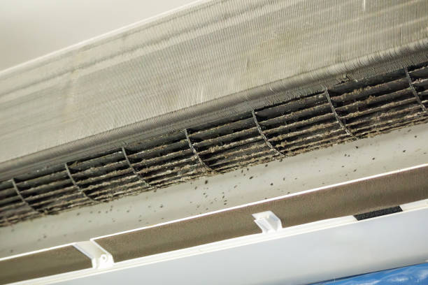Best Air Duct Cleaning Company Near Me  in Cottonwood, CA